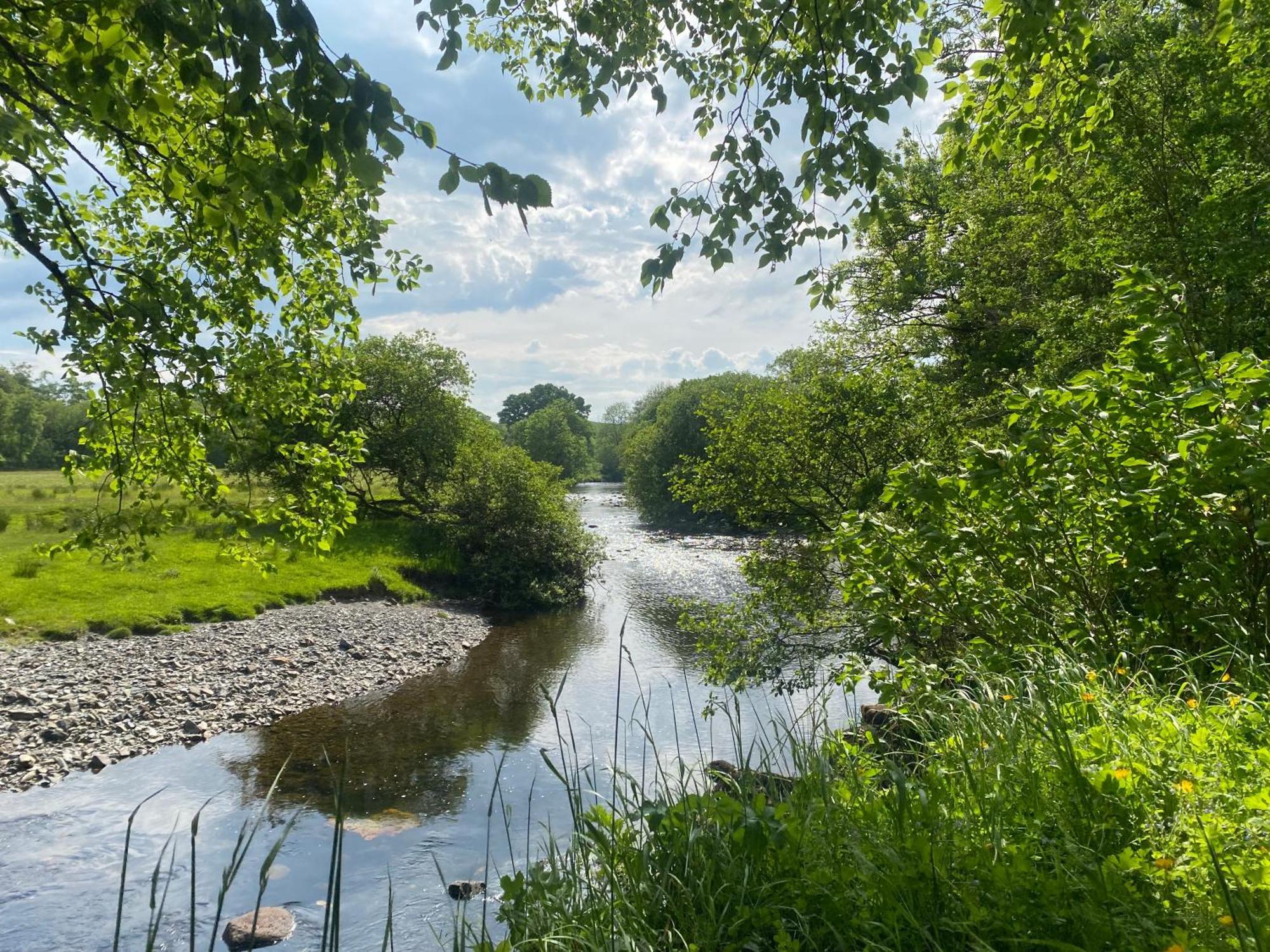Bronfelin & Troed-Y-Rhiw Holiday Cottage Лланвртид-Уэлс Экстерьер фото
