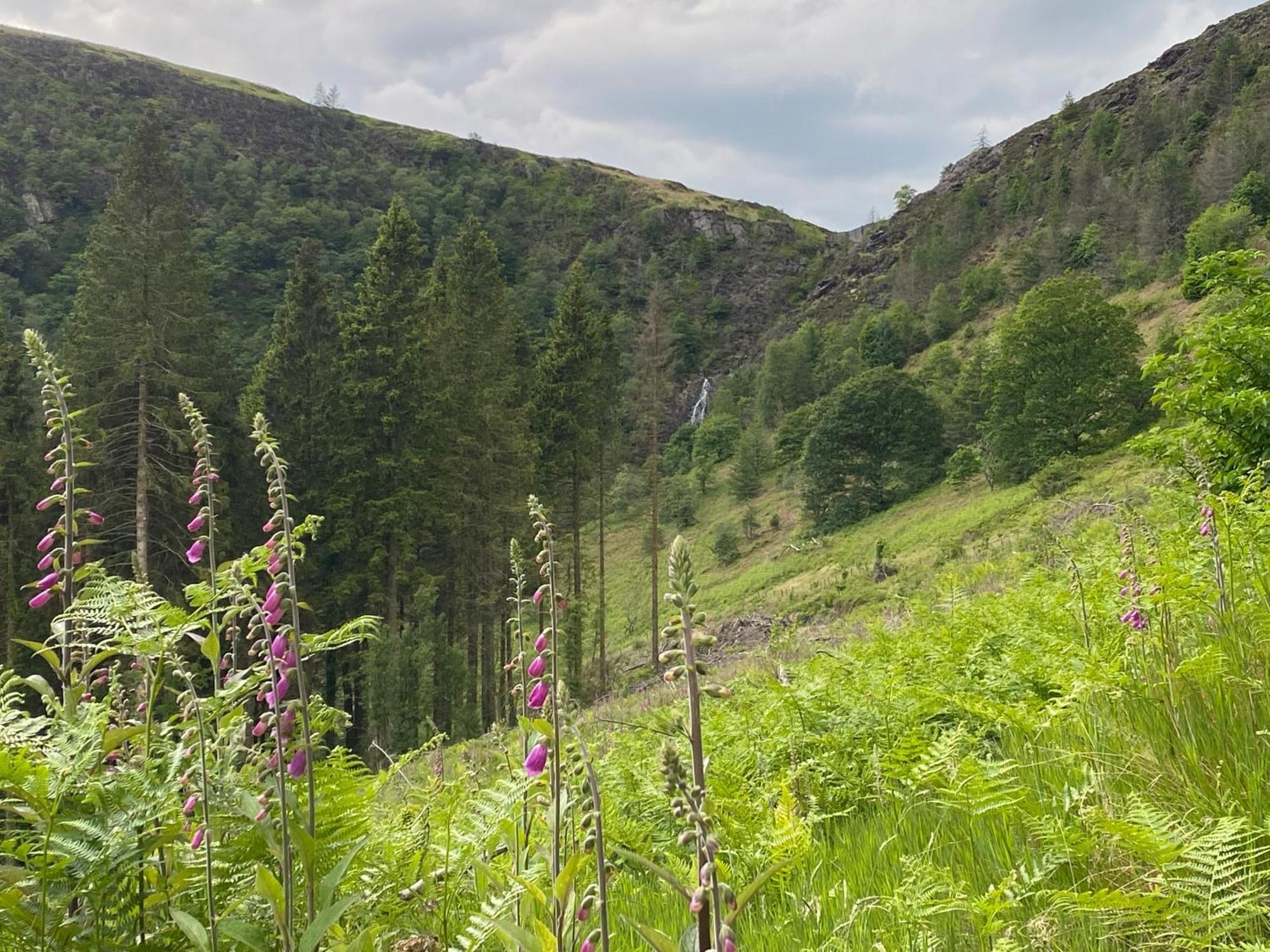 Bronfelin & Troed-Y-Rhiw Holiday Cottage Лланвртид-Уэлс Экстерьер фото