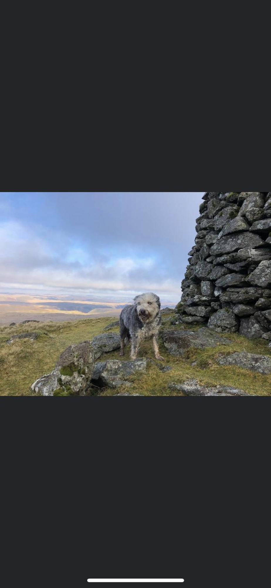 Bronfelin & Troed-Y-Rhiw Holiday Cottage Лланвртид-Уэлс Экстерьер фото
